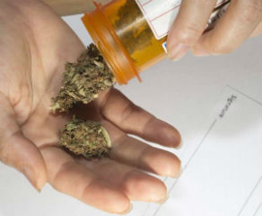 Medicinal Marijuana and New Jersey Schools
